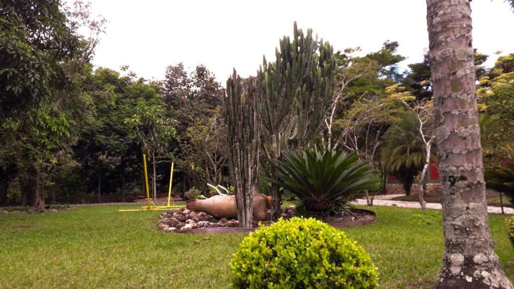 Pousada Das Pedras 帕萨夸特鲁 外观 照片